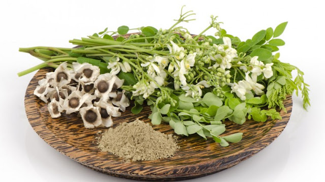 Health-Benefits-of-Moringa-Oleifera.jpg