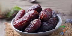 فوائد التمر وعلاقته بالوقاية من السحر