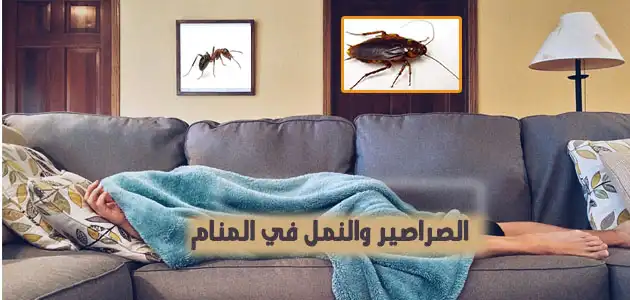 تفسير حلم الصراصير والنمل في المنام