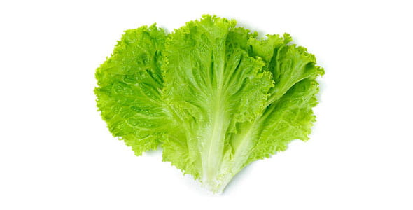 lettuce benefits
